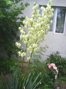 Photo0467
