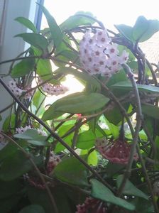 Photo0470