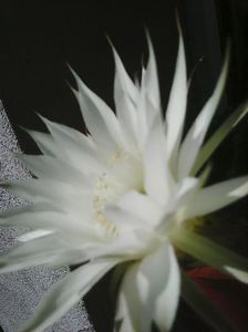 Photo0478