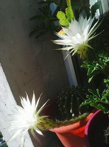 Photo0479