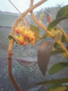 Photo0480