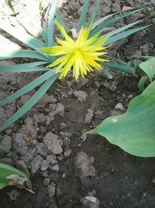 Photo0507