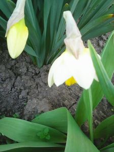 Photo0508