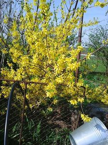 Photo0513