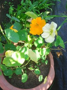 Photo0666