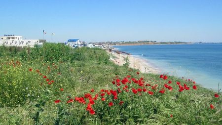 Vama Veche, este vremea macilor