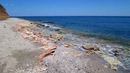 Plaja Vama Veche, vedere spre nord