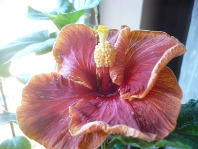 P1400596