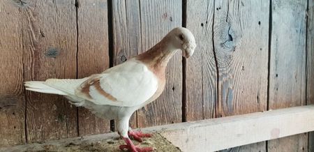 20190127_131521(0)