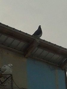 received_361719717744375