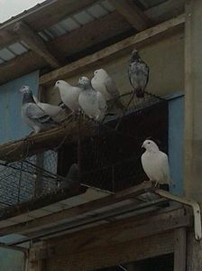received_2005446182907769