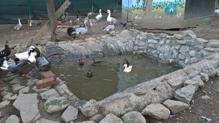 MANASTIREA CARAIMAN 14 OCT 2018 (5)