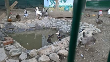 MANASTIREA CARAIMAN 14 OCT 2018 (8)