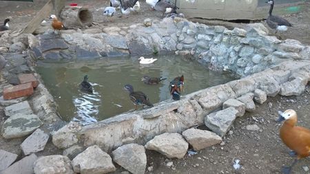 MANASTIREA CARAIMAN 14 OCT 2018 (9)