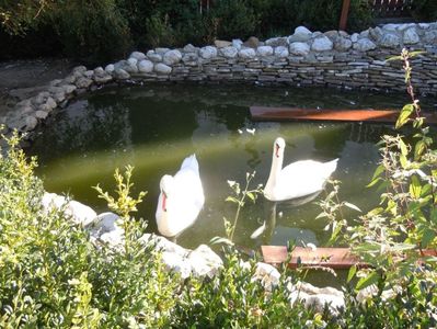 MANASTIREA CARAIMAN BUSTENI 14 OCT 2018 (4)