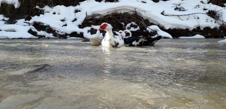 20190201_131001(0)