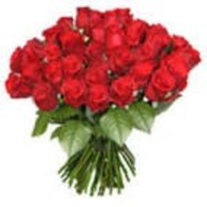 Totodata,trandafirii rosii mi se par cei mai romantici.
