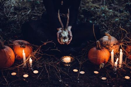 Sunt fascinata de horror si de paranormal.