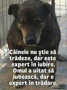 c8ce1de4739ccc883951486235a78250; PENTRU BORDEIANU MIHAI CORNEL,CU PROFILUL DE FACEBOOK Mihaita Ardeleanu / www.facebook.com/mihaitahunedoara / In viata totul se plateste roata vietii se intoarce ,eu numai cred in iubire nici nu mai a
