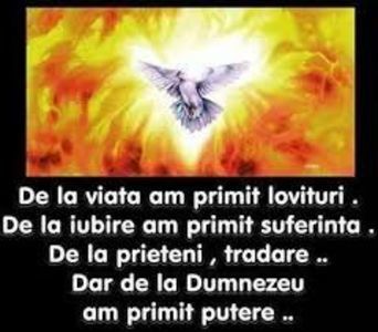 images (1); PENTRU BORDEIANU MIHAI CORNEL,CU PROFILUL DE FACEBOOK Mihaita Ardeleanu / www.facebook.com/mihaitahunedoara / In viata totul se plateste roata vietii se intoarce ,eu numai cred in iubire nici nu mai a
