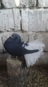 received_1364363033598464
