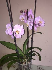 41AFEF11-248C-4C04-93AD-3AEBA9908B11