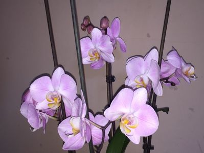 7553B1FF-264E-4CEF-A8C3-C973A2F88F44