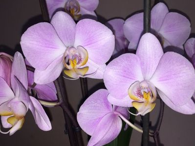 5CEB60E5-C818-4BE2-BEF7-D985132A7271