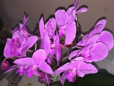 1D787677-358E-44B6-84F9-C988FEEE9D35