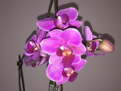 9970FFF8-24B7-46DB-9DC1-E4EBFD1275DF