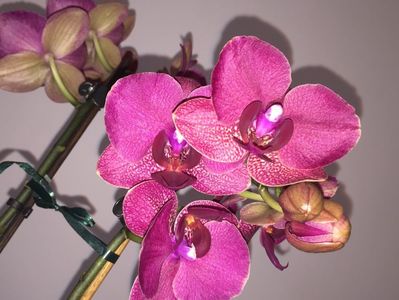 B5372718-E2C8-41DB-9AA2-F8DB90F261C3