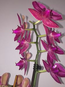 9E78DC09-4809-4A51-82FE-77193AB62C28