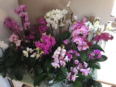 67276142-D3C5-4D4A-BABB-C4559E5FE726