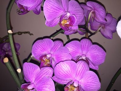 31295ADD-BFE6-4A8D-848C-F339AF14165E