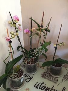 9893F9D5-E93D-4456-A1BF-6DE8E2A64B3D