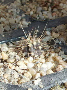 25.02.2019; 25.02.2019
