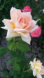 received_1028143450694652