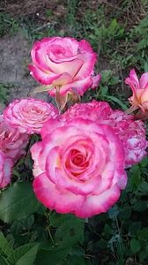 received_1045685152273815