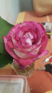 received_1710610985681095