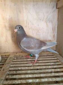 received_1683117488470429