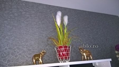 Montaj tapet Bucuresti, ablo.ro (185)