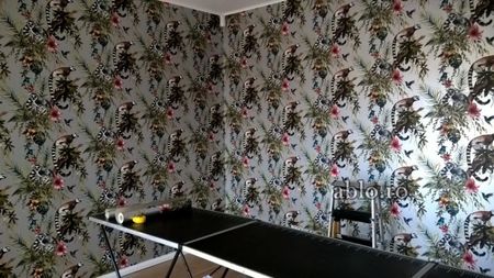 Montaj tapet Bucuresti, ablo.ro (448)