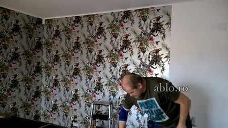 Montaj tapet Bucuresti, ablo.ro (449)