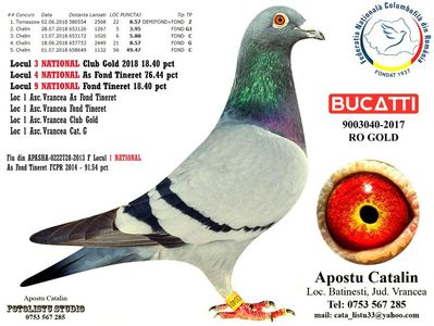 Bucatti 