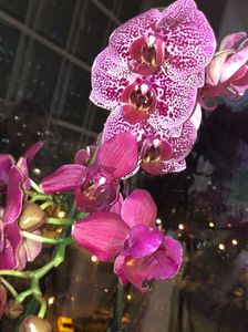 6B954990-E250-47D6-8A05-634C7EBCE1E0