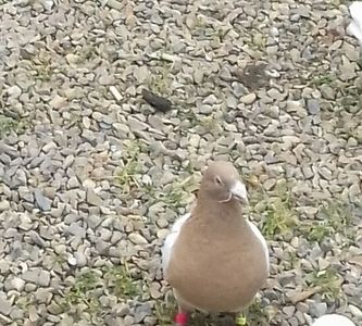 20190311_133641-1