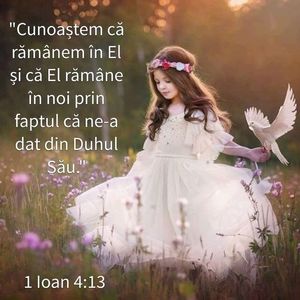 8F7CDEB7-7487-4D19-83B9-45FA1F10B68D