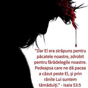 979C1D15-AC93-4413-B965-FEA0E47BA8CF