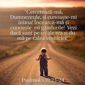 BD0EA456-F685-4294-8BB9-B6B4F0FD7A60