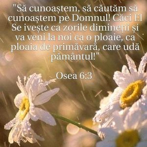 50B53FBA-584E-4863-9AEB-8E1C20EF1B77